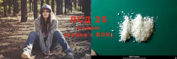 гашик Тавда