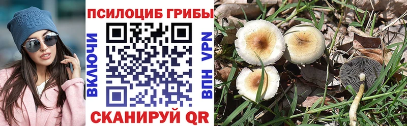 blacksprut как зайти  наркотики  Нефтеюганск  Галлюциногенные грибы мицелий 