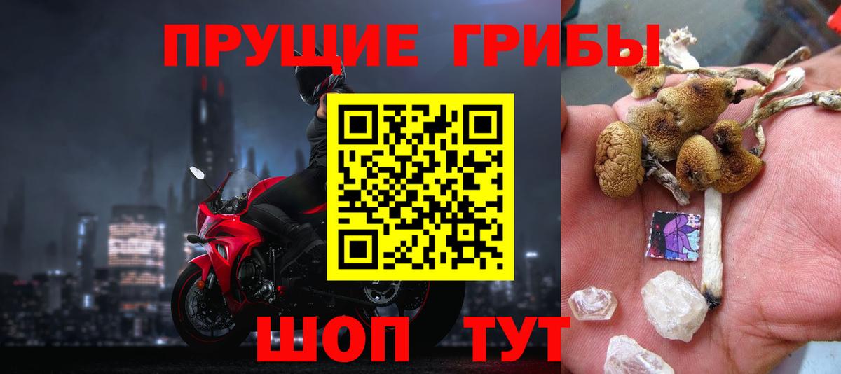 Галлюциногенные грибы Psilocybine cubensis Нефтеюганск
