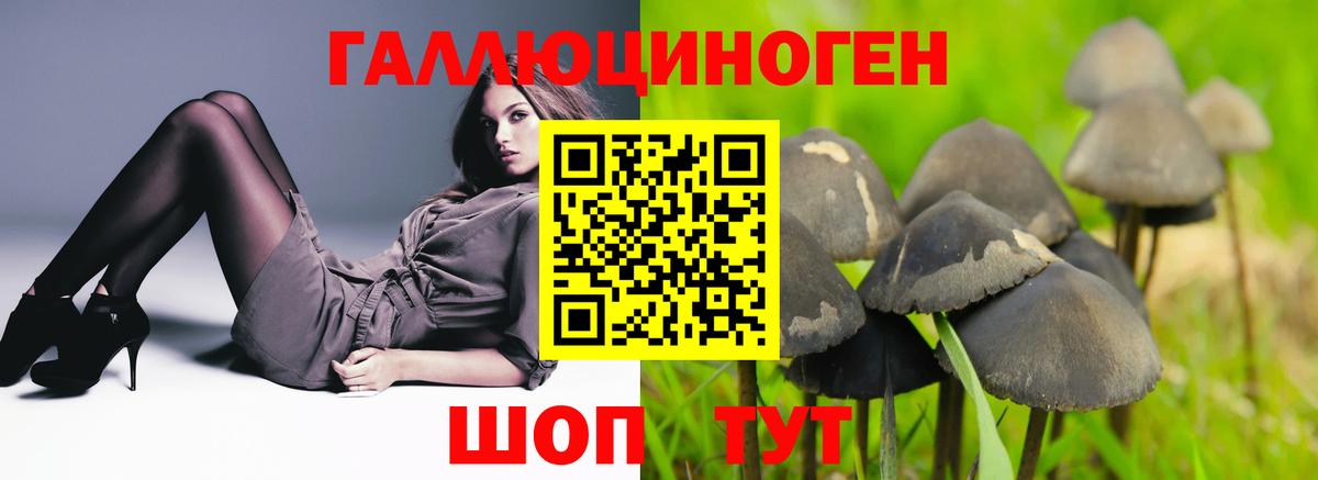 Нефтеюганск  Псилоцибиновые грибы мицелий  Вход с VPN 